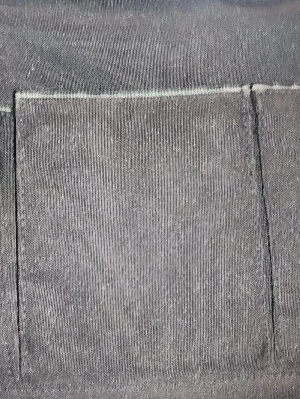 Bose carrying travel bag